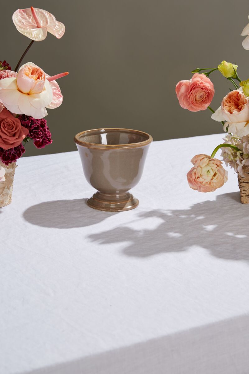 Design Shop Cara Compote 6"x 5.5"