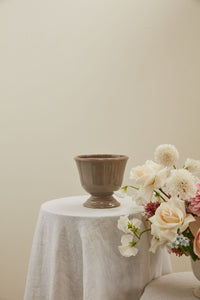Design Shop Cara Compote 6"x 5.5"