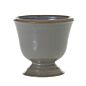 Design Shop Cara Compote 6"x 5.5"