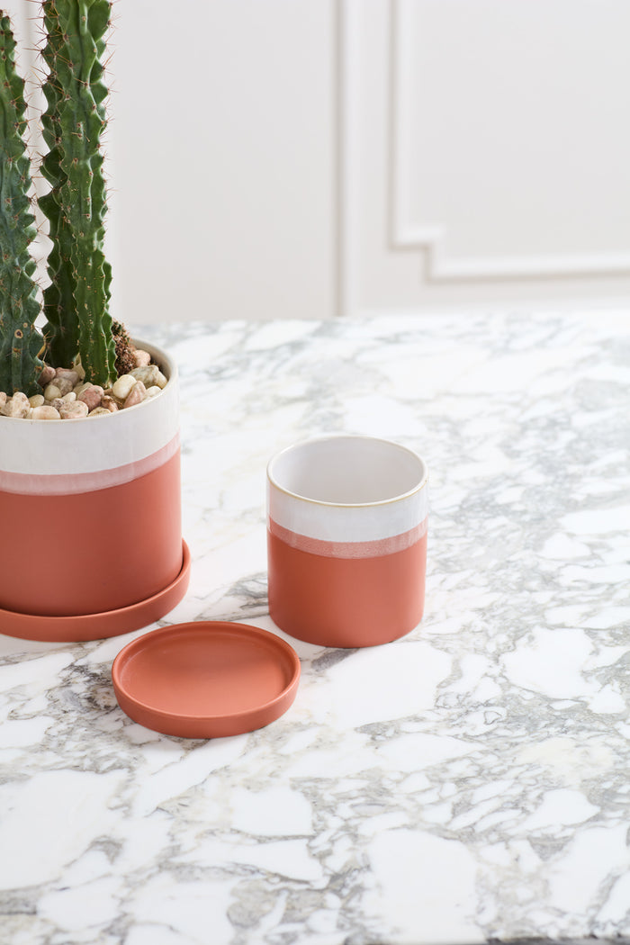 Design Shop Terracotta Hadley Pot, 4.5" X 4.25".