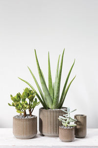 Design Shop Grey Habitat Collection Pot, 5.25" X 4.25"