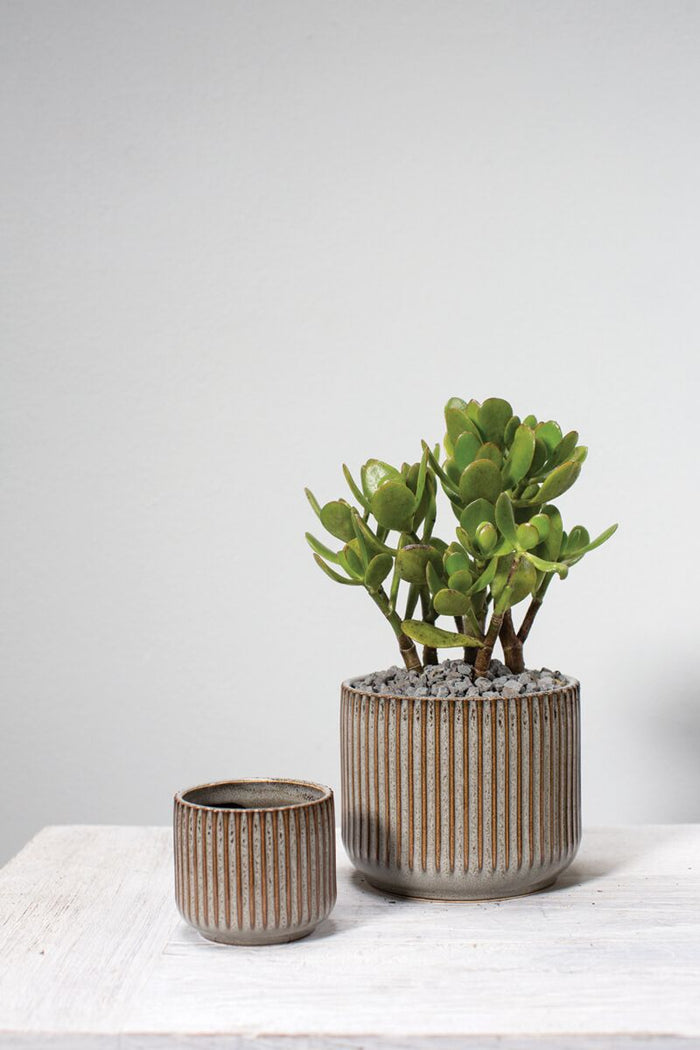 Design Shop Grey Habitat Collection Pot, 6.75" X 5.75"