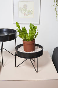 Design Shop Black Encino Tray with Stand, 10" X 7.75".
