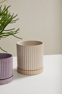 Design Shop Off-White Los Feliz Pot with Saucer, 6.5" X 7"