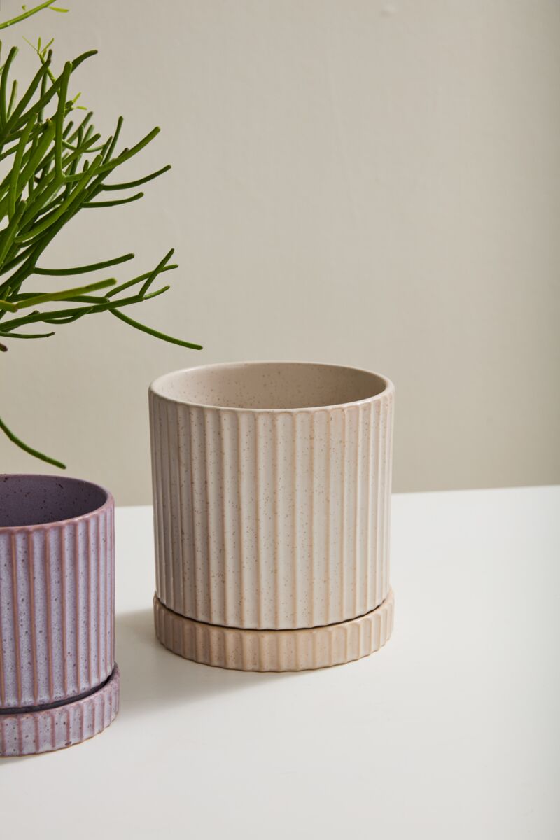 Design Shop Off-White Los Feliz Pot with Saucer, 6.5" X 7"