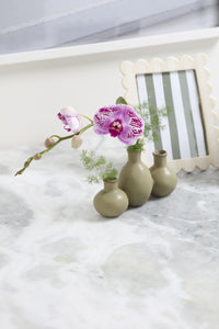 Design Shop Thyme Budvase 7.5"x 2.5"x 4.5", Set of 2