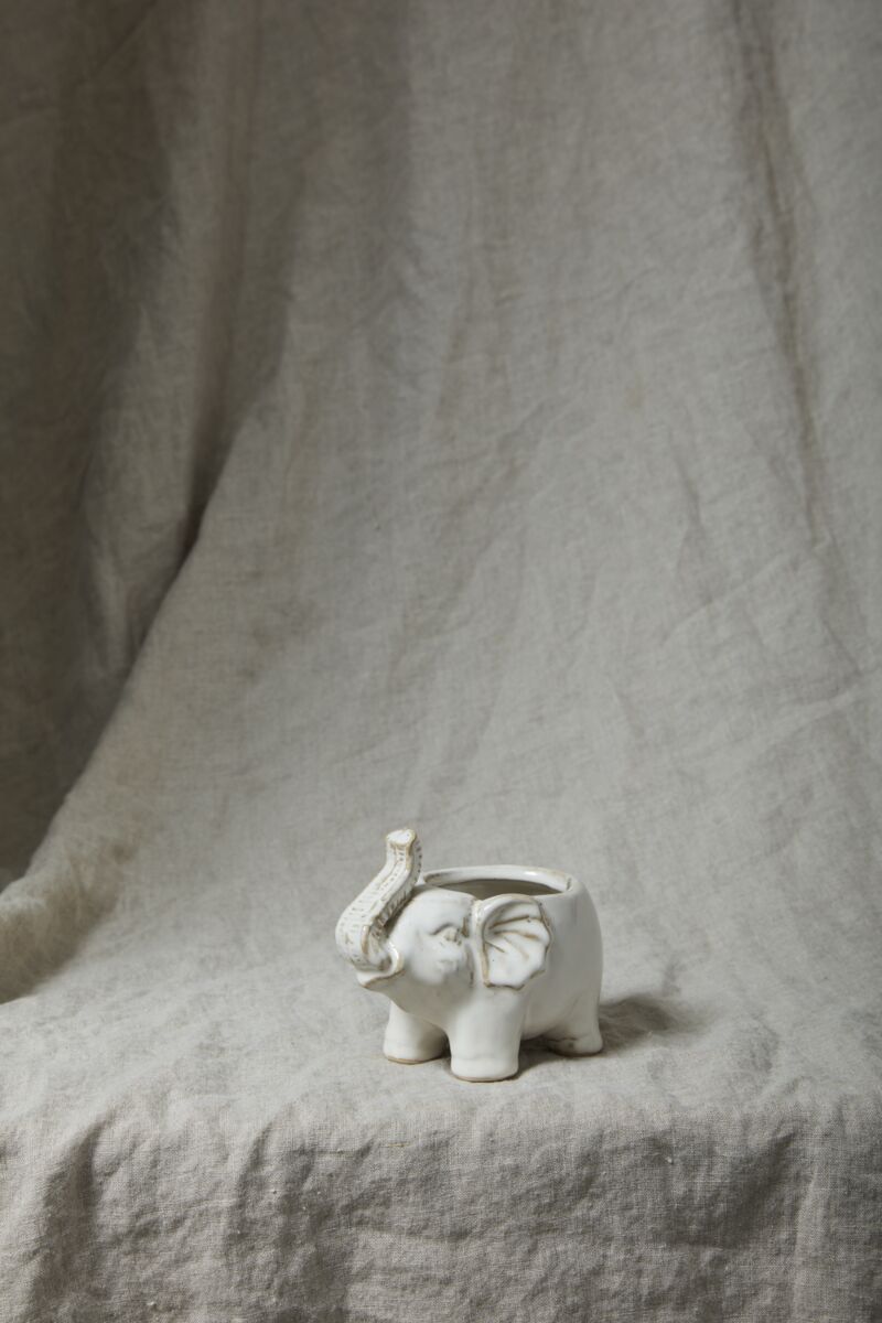 Design Shop White Elephant Pot Pot, 7" X 5.25", Set of 2.