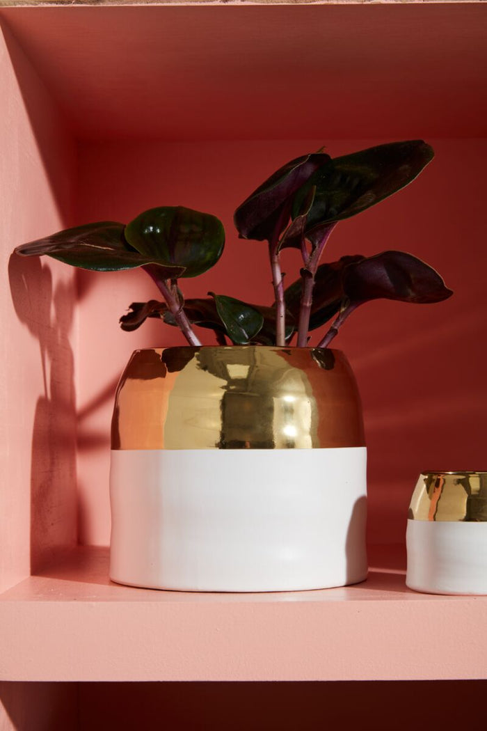 Design Shop White Claire Pot, 7.5" X 6.25"