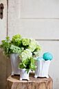 Design Shop Mellie Footed Pot 5.25"x 5", Set of 4