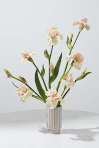 Design Shop Corley Vase 4.25"x 7.5", Set of 2