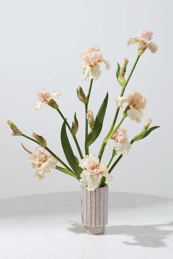 Design Shop Corley Vase 4.25"x 7.5", Set of 2