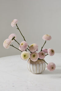 Design Shop Sutton Vase 5.25"X 4", Set of 2
