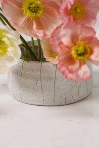 Design Shop Morgan Bowl 7.5"x 4"