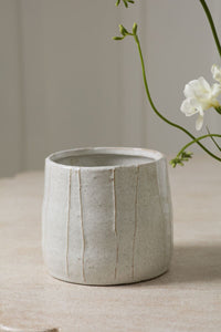 Design Shop Morgan Pot 7"x 6.5"