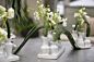 Design Shop Chic Vase 11.75"x 4.5"x 6"