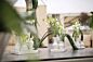 Design Shop Chic Vase Square 6.25"x 5.5"