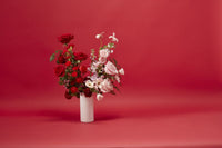 Design Shop White Brooklyn Collection, 3.75" X 8", Set of 2.