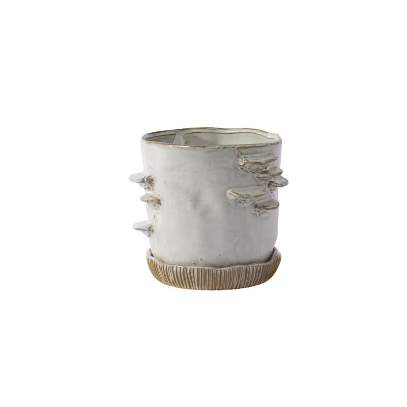 Design Shop Stepped Mushroom Pot with Saucer 7.75"x 6.75"