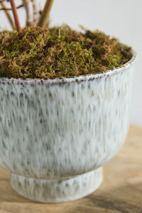 Design Shop Hayden Pot 8.25"x 7"