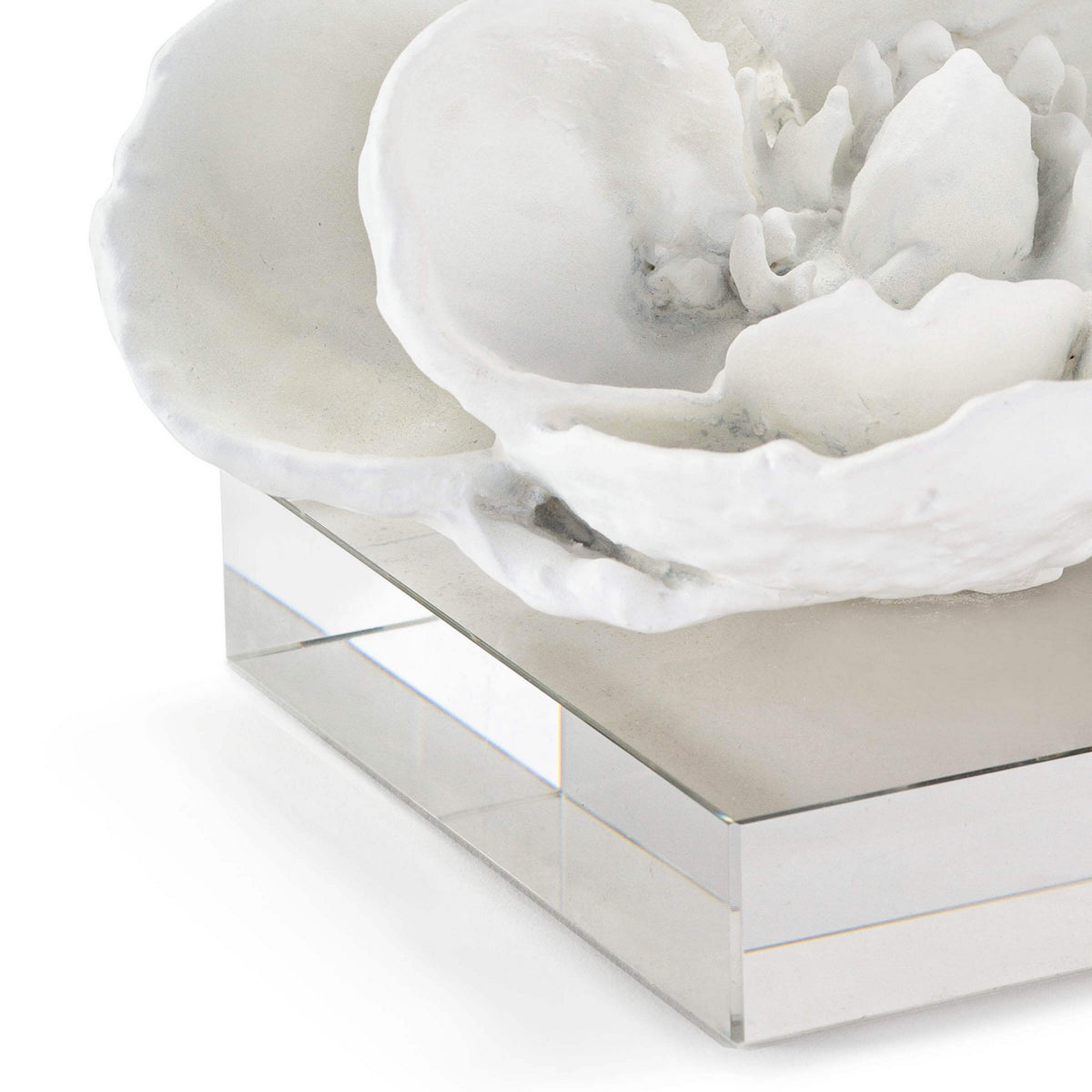 Regina Andrew - 20-1286WT - Sculpture - Magnolia - White