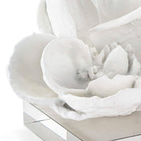Regina Andrew - 20-1286WT - Sculpture - Magnolia - White