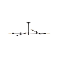 Wildwood Pluton Chandelier - Black