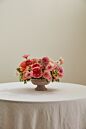 Design Shop Winnie Compote 7"x 4"