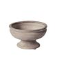 Design Shop Winnie Compote 7"x 4"