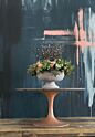 Design Shop Winnie Compote 12.25"x 7.25"