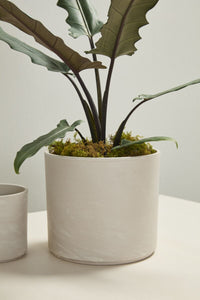 Design Shop Fulton Pot 8.5"x 7.5"