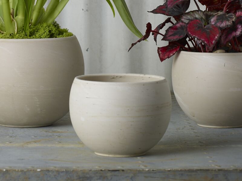 Design Shop Astrid Pot 4.75"x 3.5"