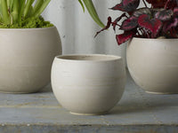 Design Shop Astrid Pot 4.75"x 3.5"