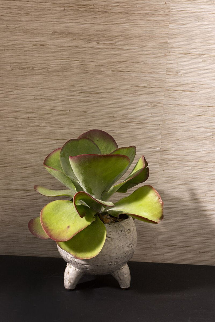 Design Shop Tan Noah Pot, 6.5" X 7"