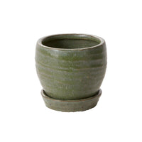 Design Shop Green Bradford Pot, 3.5" X 3.5", Set of 4.
