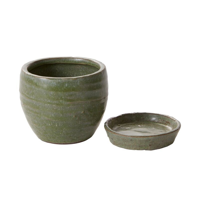 Design Shop Green Bradford Pot, 3.5" X 3.5", Set of 4.