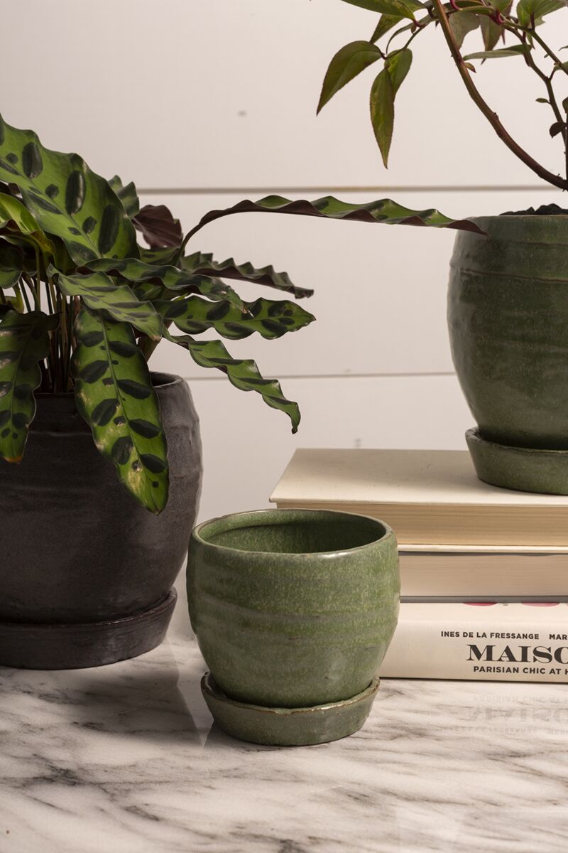 Design Shop Green Bradford Pot, 3.5" X 3.5", Set of 4.