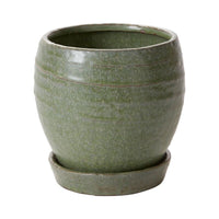 Design Shop Green Bradford Pot, 5.5" X 5.5".