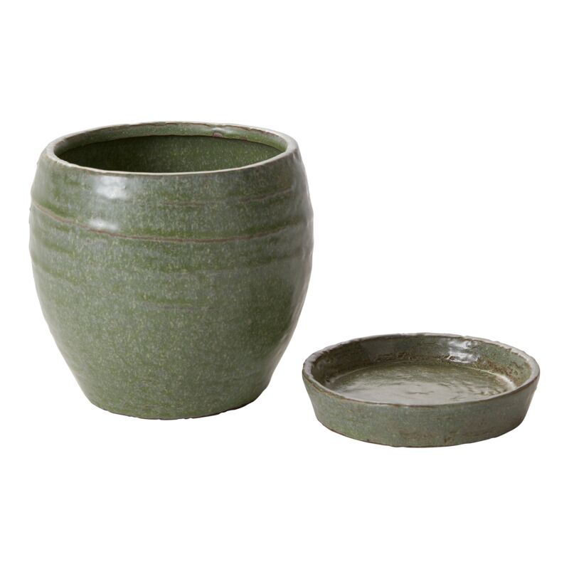 Design Shop Green Bradford Pot, 5.5" X 5.5".