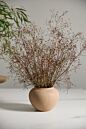 Design Shop Kastanos Vase 5.5"x 4.5", Set of 4