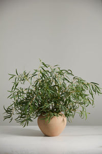 Design Shop Kastanos Vase 8.75"x 6.5"