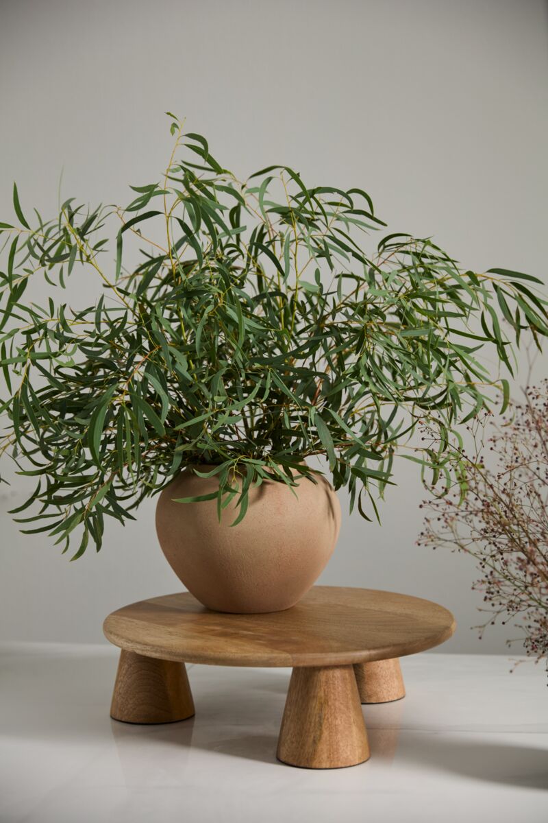 Design Shop Kastanos Vase 8.75"x 6.5"