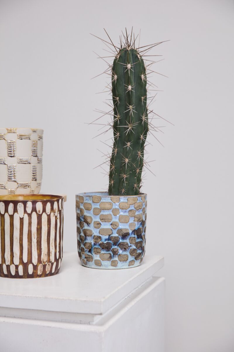 Design Shop Anselm Pot 6.25"x 6.5"