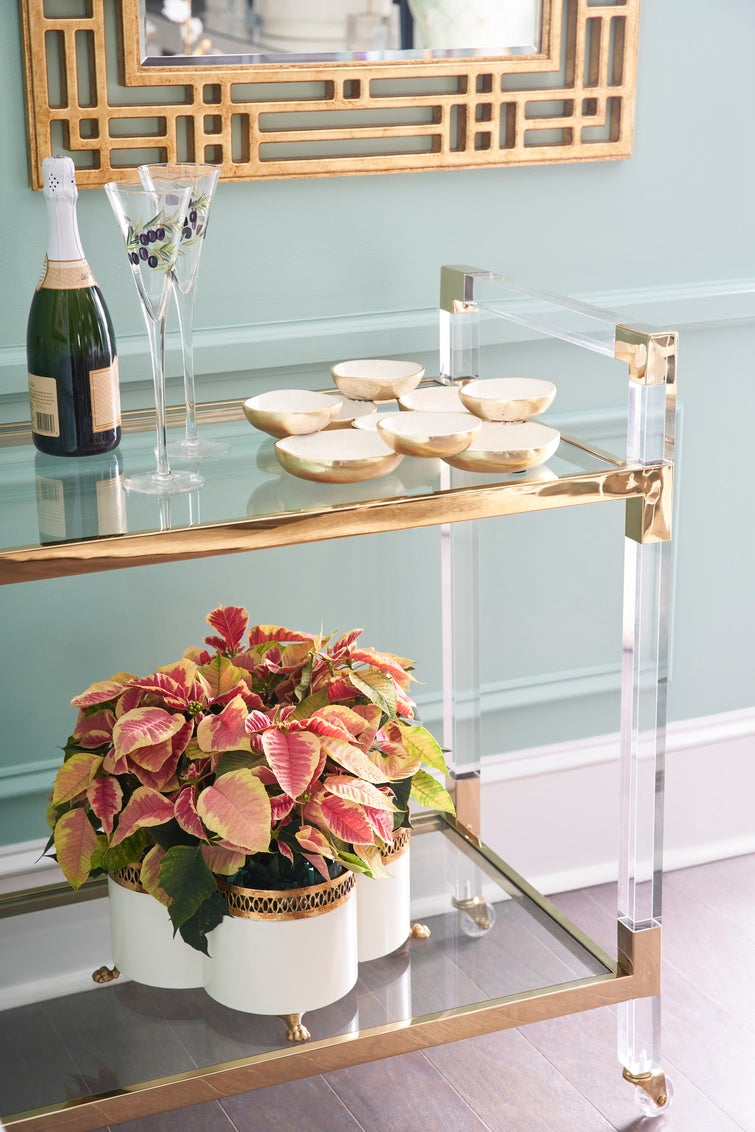 Chelsea House Acrylic Bar Cart - Brass