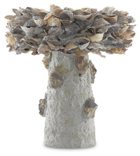 Currey and Company - 1200-0052 - Bird Bath - Oyster Shell - Portland/Natural