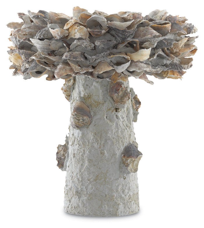 Currey and Company - 1200-0052 - Bird Bath - Oyster Shell - Portland/Natural
