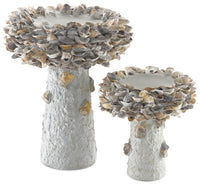Currey and Company - 1200-0052 - Bird Bath - Oyster Shell - Portland/Natural