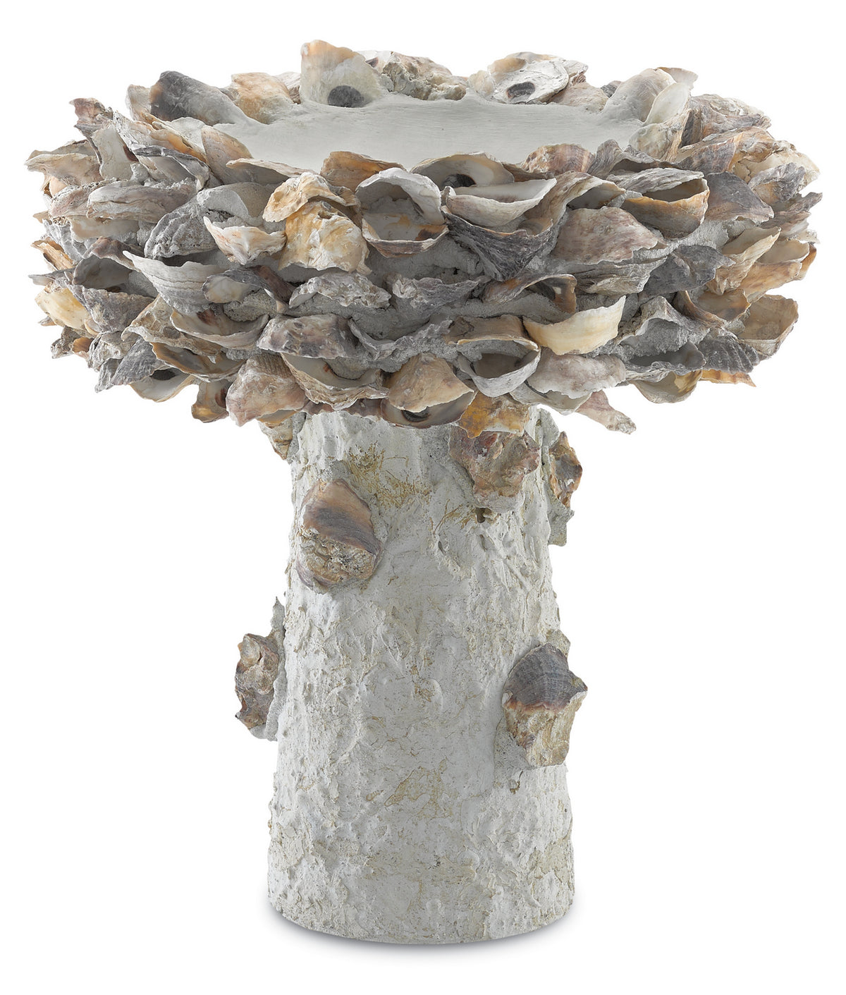 Currey and Company - 1200-0052 - Bird Bath - Oyster Shell - Portland/Natural