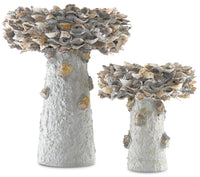 Currey and Company - 1200-0053 - Bird Bath - Oyster Shell Collection - Portland / Natural