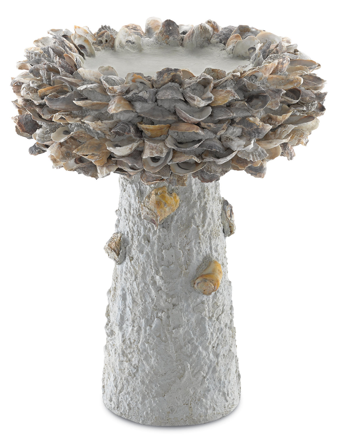 Currey and Company - 1200-0053 - Shell Bird Bath - Oyster - Portland ...