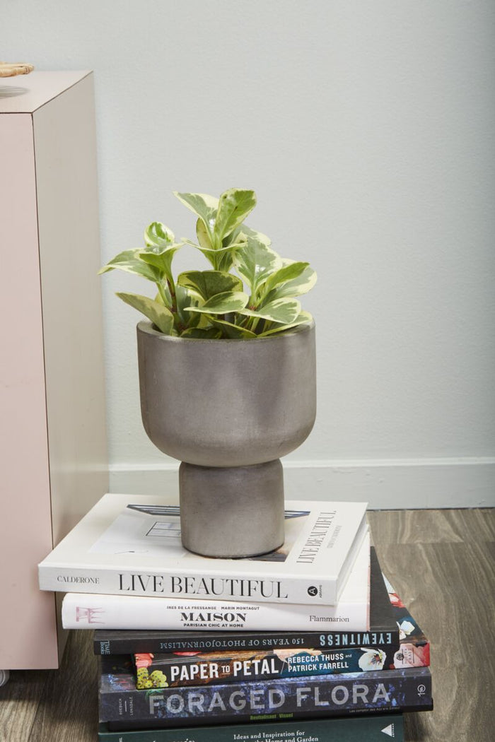 Design Shop Grey Fresno Planter, 6.5" X 8.75".